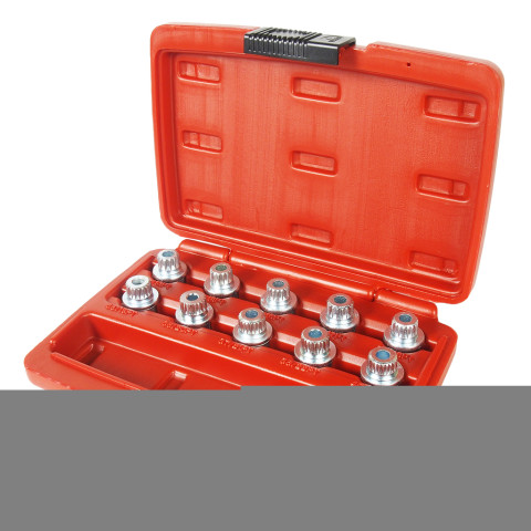 Набор головок для секреток BMW 10ед.