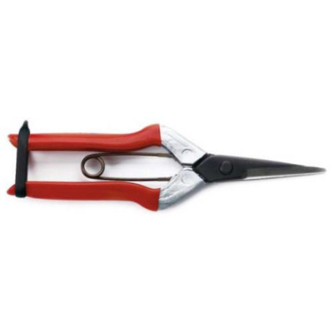 Ножницы для сбора фруктов, овощей, цветов с длинными и прямыми лезвиями (Samurai KS-55C)