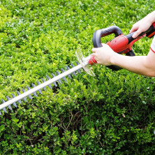 Аккумуляторный кусторез  WORCRAFT CHT-S20Li